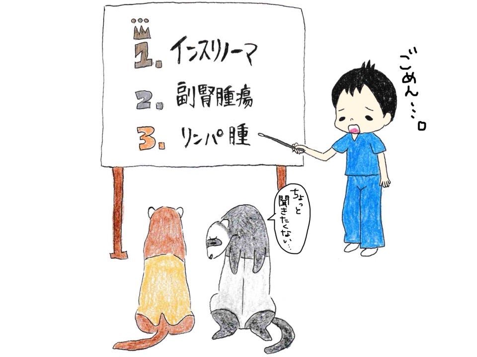 フェレットリンパ腫