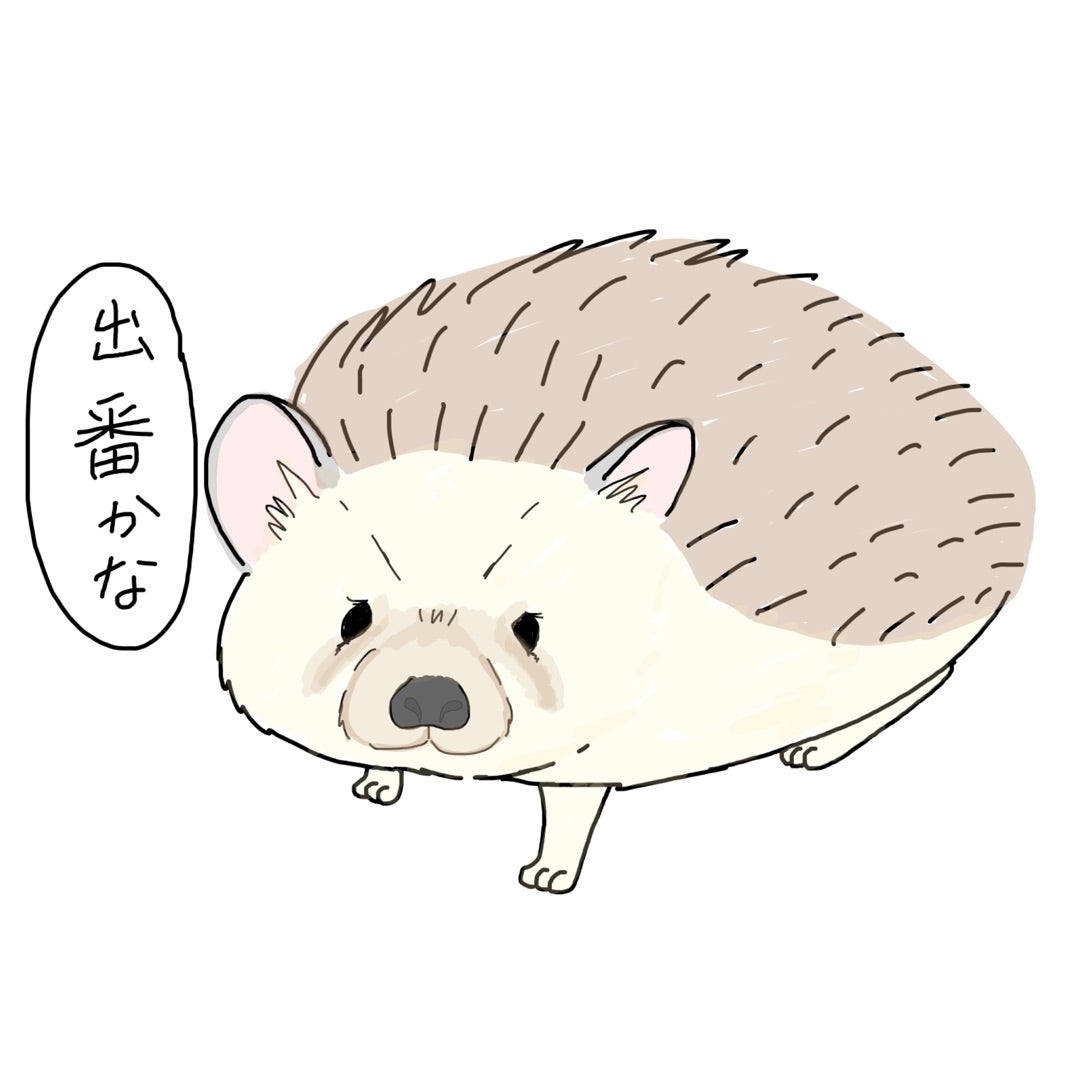 ハリネズミ】３大疾患 子宮の病気① ガイア動物病院｜犬・猫・エキゾチックアニマル｜阿佐ヶ谷・下井草・鷺ノ宮